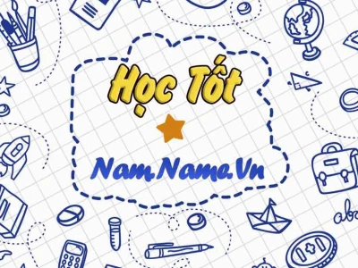 Phân biệt tế bào thực vật và tế bào động vật: Khác biệt cốt lõi