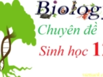 Protein tái tổ hợp là gì và ứng dụng đột phá trong y học