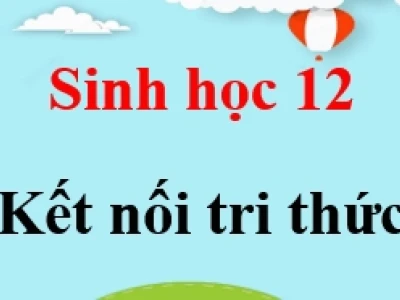 Quá trình tái bản DNA: Cơ chế, giai đoạn và ý nghĩa sinh học