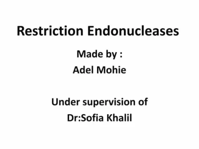 Restriction Enzymes: Công Cụ Chủ Chốt Trong Công Nghệ Sinh Học