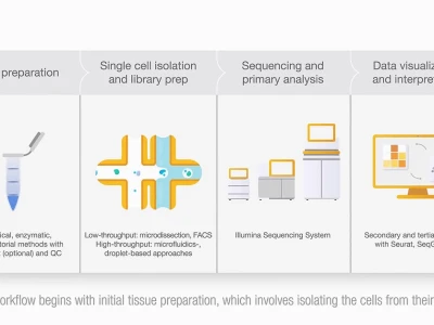 Single Cell và Bulk Sequencing: Khi nào nên sử dụng mỗi loại?