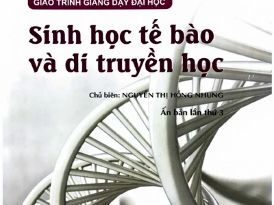 Sinh Học Tế Bào Và Di Truyền Y Học YDS PDF: Nền Tảng Kiến Thức