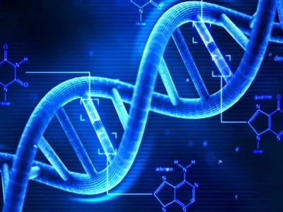 So sánh DNA và RNA: Khác biệt cốt lõi và vai trò