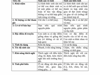 So sánh sinh sản hữu tính và vô tính: Đặc điểm, ưu nhược điểm