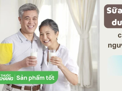 Sữa Tăng Sức Đề Kháng Cho Người Lớn: Lựa Chọn Thông Minh Cho Sức Khỏe Toàn Diện 2026