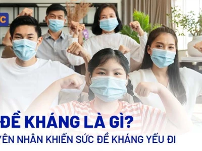 Sức Đề Kháng Là Gì? Chìa Khóa Bảo Vệ Cơ Thể Khỏe Mạnh Toàn Diện