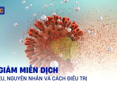 Suy Giảm Miễn Dịch Ở Người Lớn: Nguyên Nhân, Triệu Chứng và Cách Phòng Ngừa Hiệu Quả