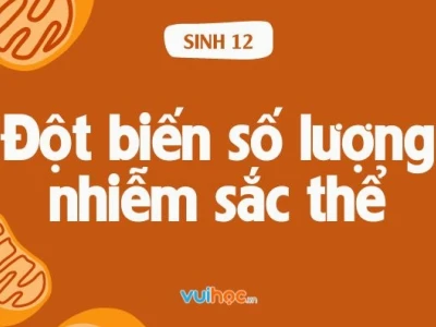 Thể một nhiễm là gì và các dạng đột biến liên quan