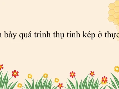 Thụ tinh kép ở thực vật có hoa là sự kết hợp của những yếu tố nào?