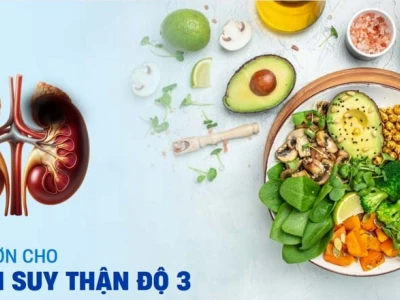 Thực đơn 7 ngày cho người suy thận độ 3: Khoa học và an toàn
