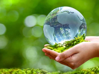 Thực vật có vai trò gì đối với đời sống con người và môi trường?