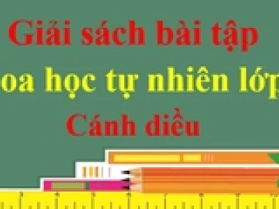Thực vật gồm những gì? Khám phá thế giới đa dạng của giới Plantae
