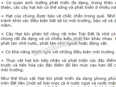 Thực vật hạt kín: Đặc điểm nhận dạng và vai trò quan trọng
