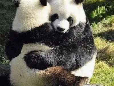 Tổng hợp ảnh ôm gái đẹp, dễ thương và đầy tình cảm