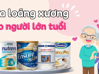 Top 15 loại sữa tốt cho người loãng xương, xương chắc khỏe 2026