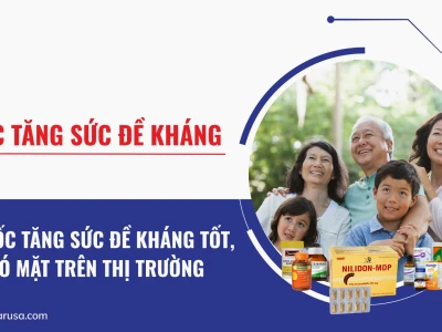 Top Thực Phẩm Chức Năng Tăng Sức Đề Kháng Hiệu Quả 2026