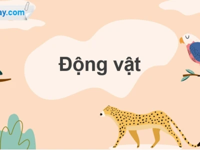 Vai trò của động vật đối với tự nhiên và con người: Góc nhìn toàn diện