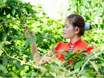 Vẻ đẹp hút hồn của cô gái Thái Tây Bắc qua những hình ảnh độc đáo