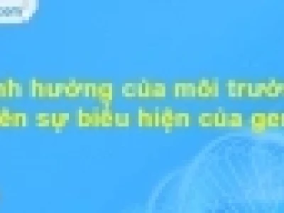 Yếu tố quy định mức phản ứng của cơ thể là gì?