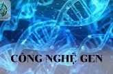 Công nghệ Gen là gì? Các lĩnh vực ứng dụng chính của công nghệ Gen