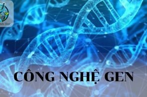 Công nghệ Gen là gì? Các lĩnh vực ứng dụng chính của công nghệ Gen