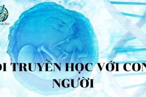 Di truyền học với con người