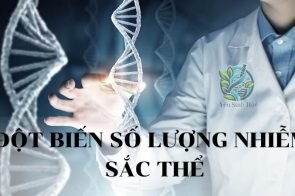 Đột biến số lượng nhiễm sắc thể