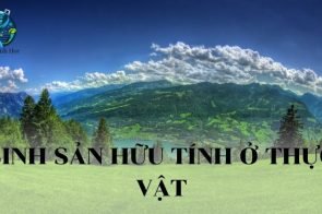 Sinh sản hữu tính ở thực vật – Đặc điểm, quá trình và ý nghĩa