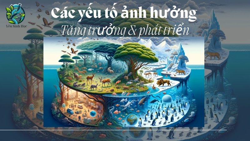 Các yếu tố khác nhau ảnh hưởng đến sinh trưởng và phát triển ở động vật là gì?