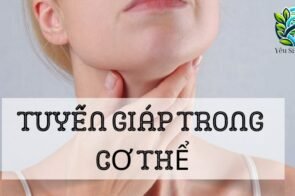 Tuyến giáp: Khái niệm, cấu tạo và chức năng đối với cơ thể người