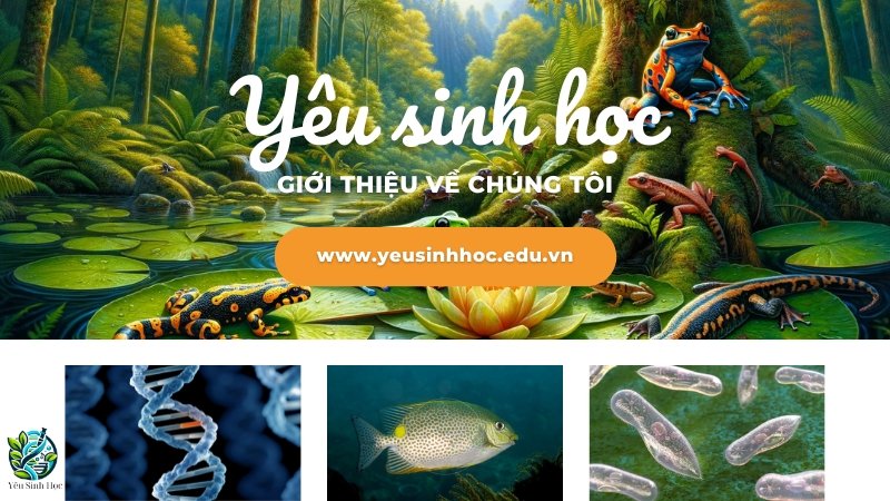 Giới thiệu yeusinhhoc.edu.vn ảnh 1