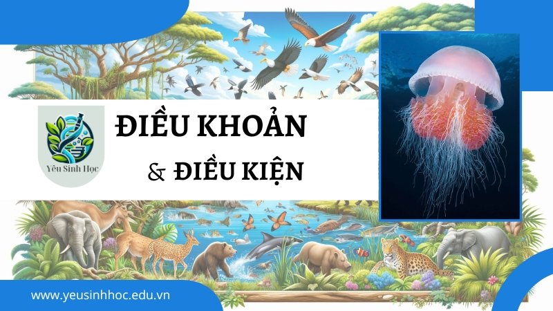 Điều khoản và điều kiện Yeusinhhoc.edu.vn ảnh 1