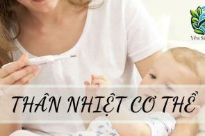 Thân nhiệt trong cơ thể và các yếu tố ảnh hưởng đến sức khoẻ