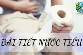 Bài tiết nước tiểu là gì? Quá trình bài tiết nước tiểu trong cơ thể người