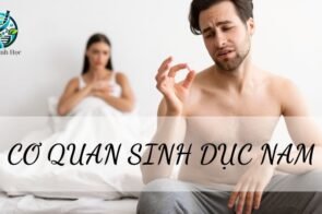 Tìm hiểu về cơ quan sinh dục nam