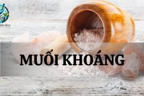 Muối khoáng là gì? Vai trò của muối khoáng trong cơ thể người