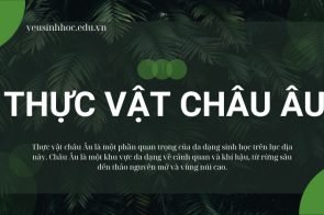 Tìm hiểu khái niệm, đặc điểm và môi trường sống của thực vật Châu Âu