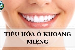 Tiêu hoá ở khoang miệng diễn ra như thế nào?