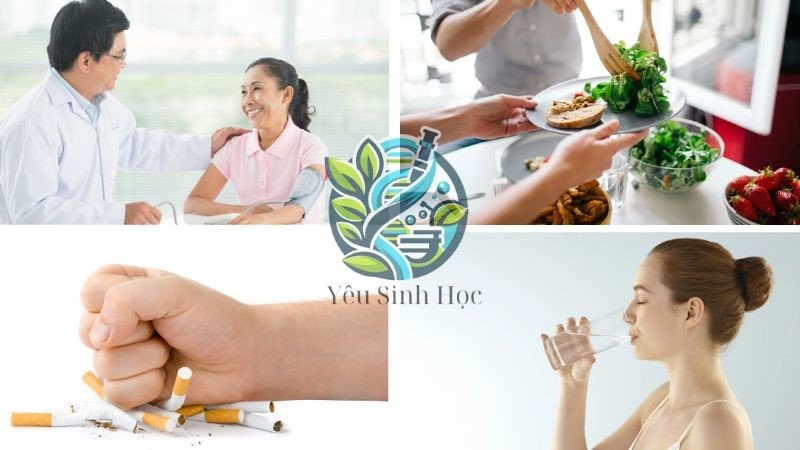 tiêu hoá ở ruột non