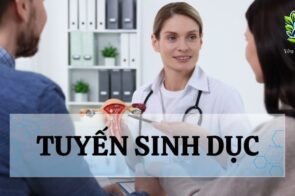 Tuyến sinh dục – Khái niệm, cấu tạo và chức năng trong cơ thể