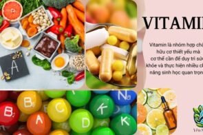 Tìm hiều về Vitamin trong cơ thể người