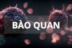 Bào quan trong tế bào – Vai trò và cấu trúc độc đáo của chúng