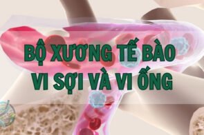 Khám phá bí ẩn bộ xương tế bào – Nền tảng cho sự sống