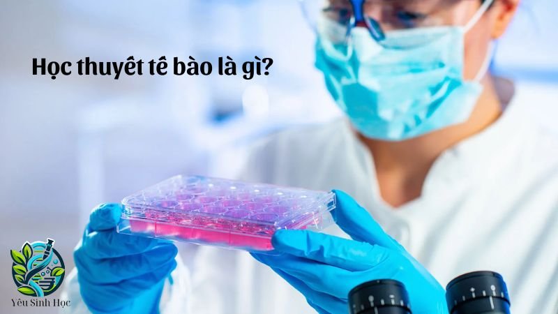 học thuyết tế bào là gì 