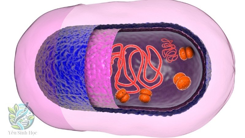 Kiểm soát chất lượng protein