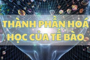 Tìm hiểu về thành phần hóa học của tế bào