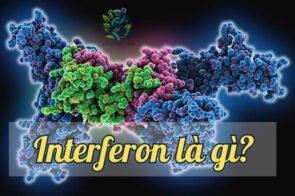 Interferon là gì?  Giải mã bí ẩn và ứng dụng trong y học