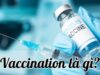 Vaccination là gì? Tiêm chủng an toàn và hiệu quả