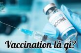 Vaccination là gì? Tiêm chủng an toàn và hiệu quả