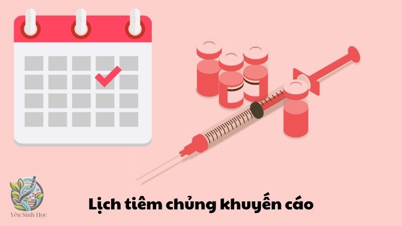 Lịch tiêm chủng khuyến cáo